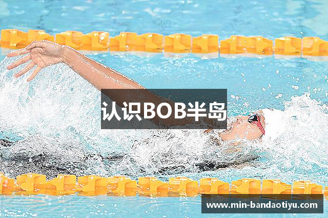 认识BOB半岛